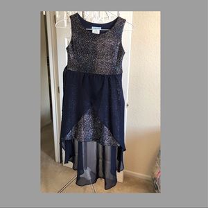 Navy Elegant Dress